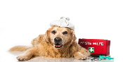 Fotolia_59746297_XS